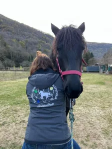 Thérapie équine par massage acupression - Sandrine Protti