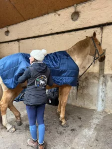 Thérapie équine par massage acupression - Sandrine Protti