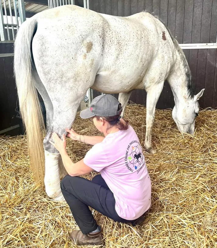 Sandrine Protti : Thérapie équine par massage acupression